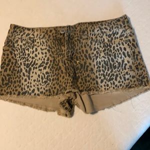 Cheetah shorts